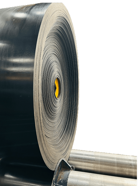 Professional expertise